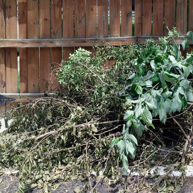 Junk Removal Services in Dallas, TX
